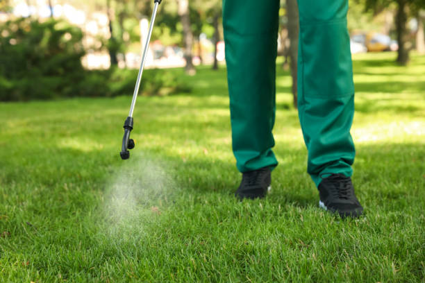 Best Flea Control Services  in Dove Valley, CO